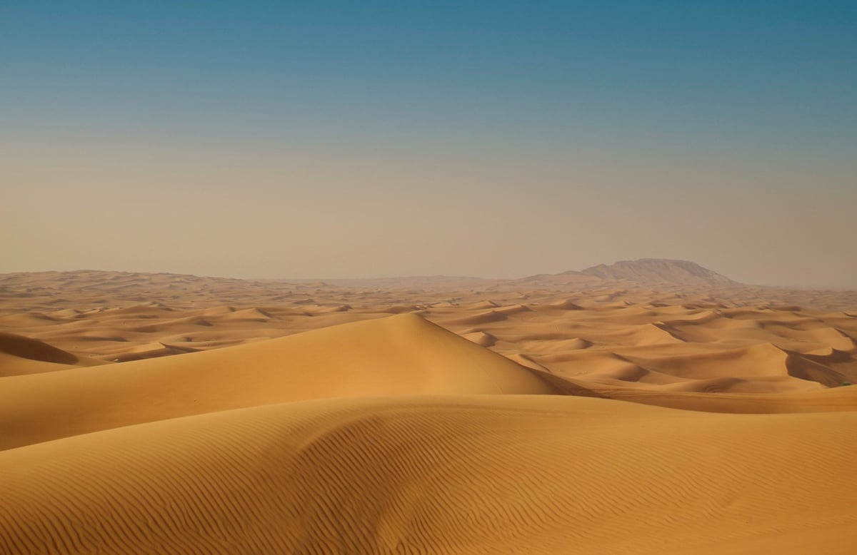 Les technologies de capture du carbone : le futur en ligne de mire