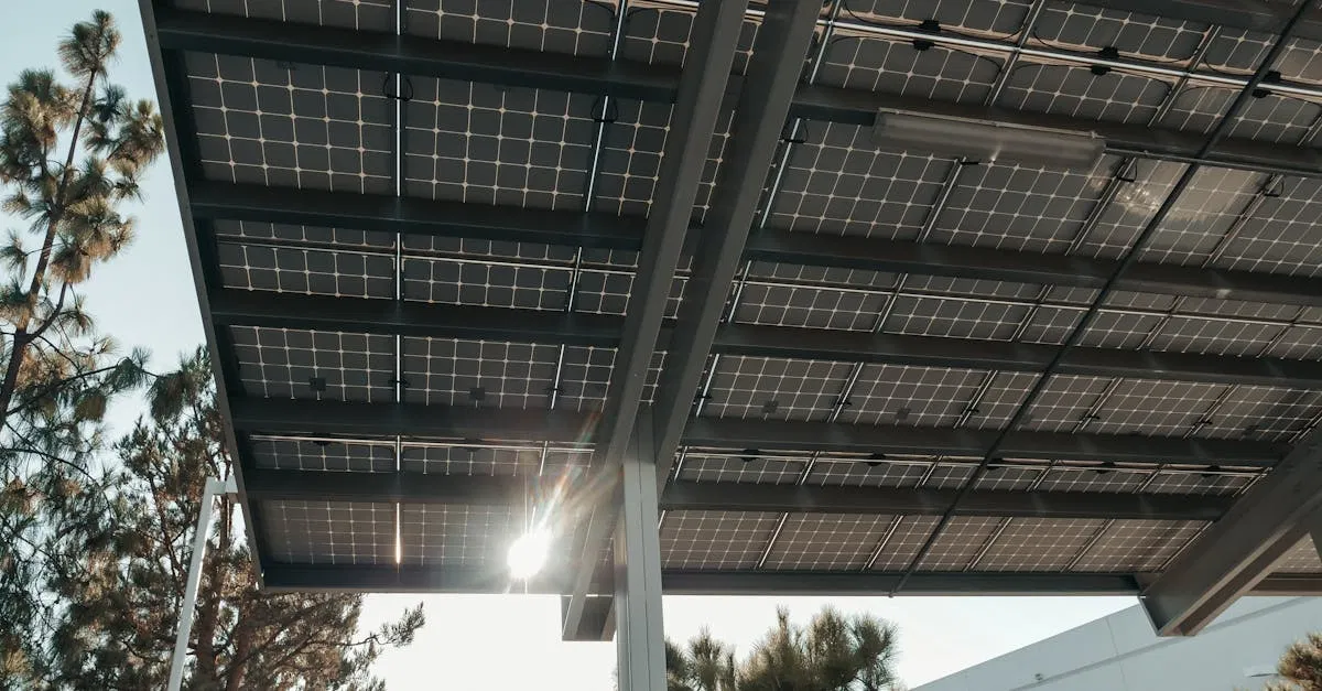 Ressources renouvelables : comprendre leur impact sur notre avenir énergétique