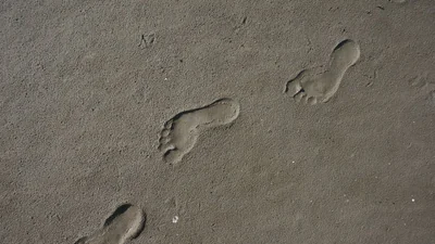 Les leviers d’action pour réduire son bilan carbone
