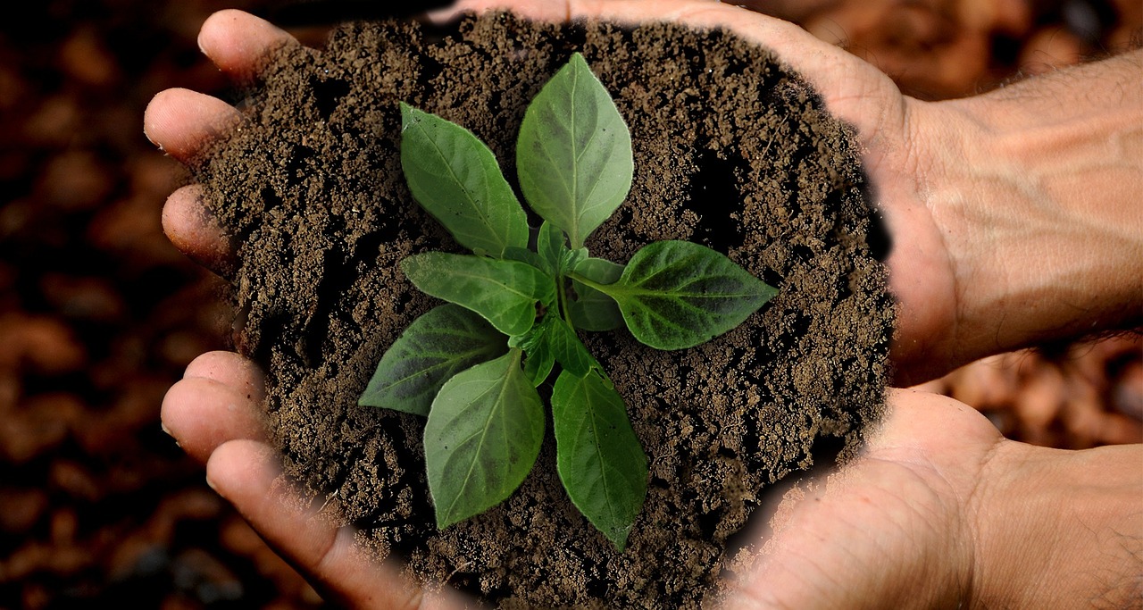 Climat : Les agences Generali s’engagent pour une durabilité accrue et une responsabilité exemplaire !