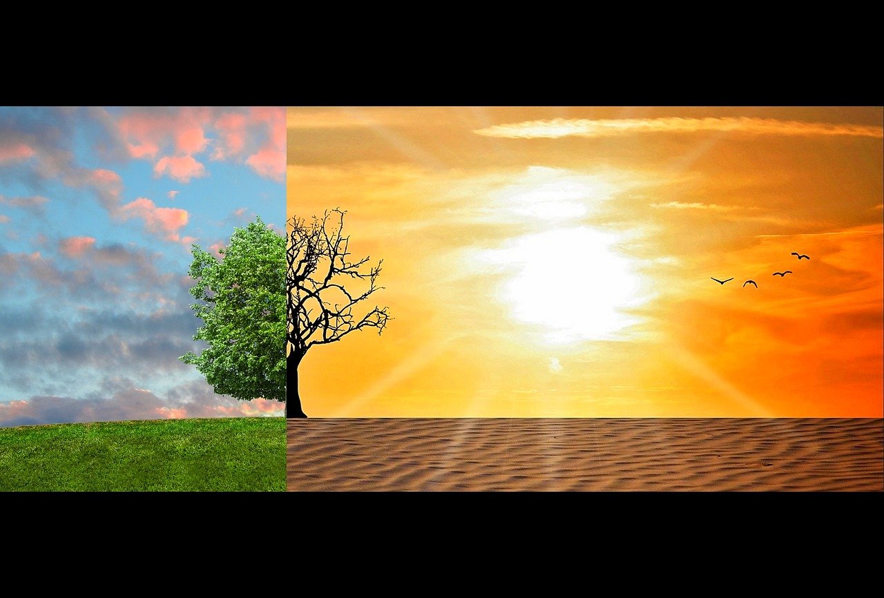 Anticiper les effets du changement climatique sur le bilan carbone