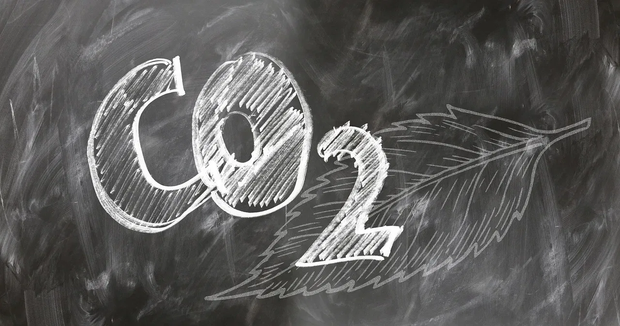 L’importance de la transparence dans le bilan carbone