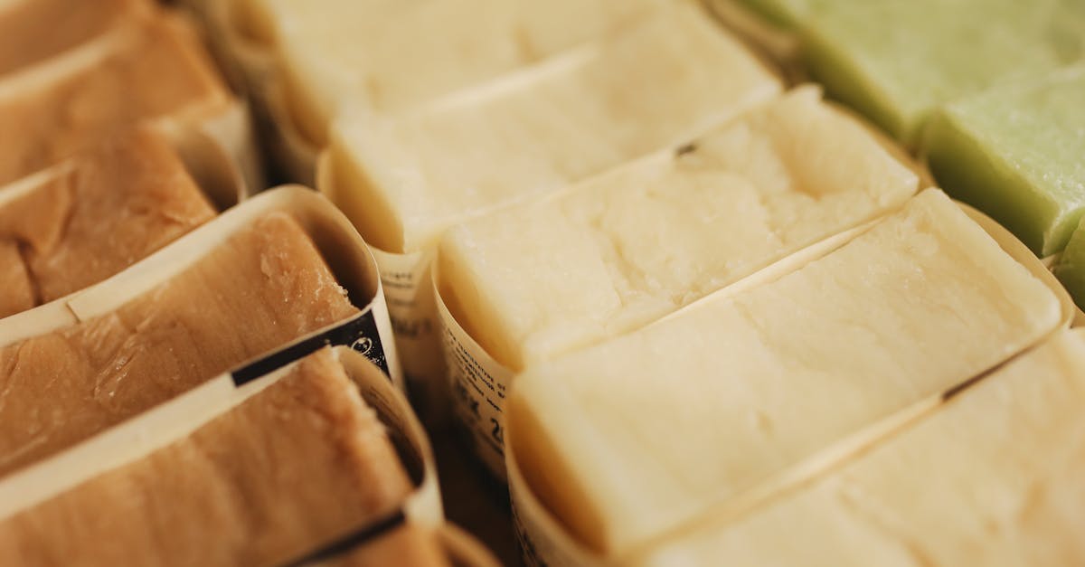 Produits biosourcés : une solution écologique pour l’avenir