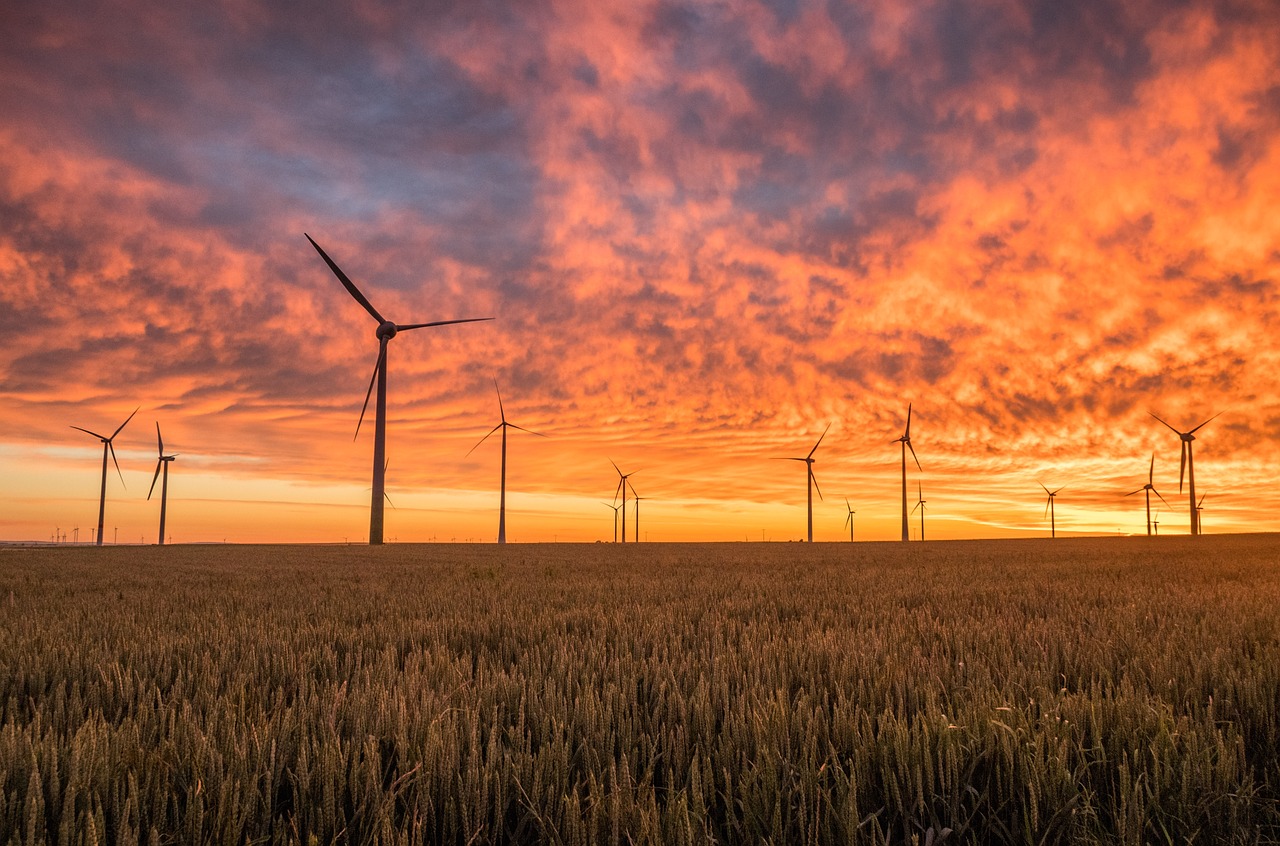 Comment optimiser l’énergie dans une entreprise ?