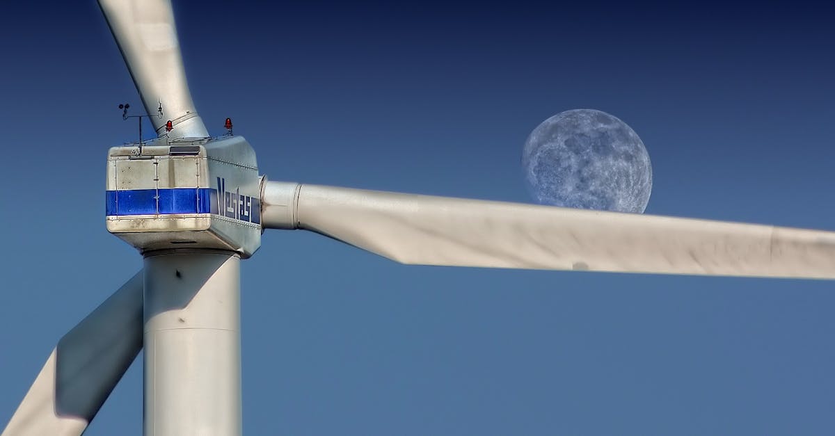 Énergies renouvelables : les tendances incontournables à suivre en 2025
