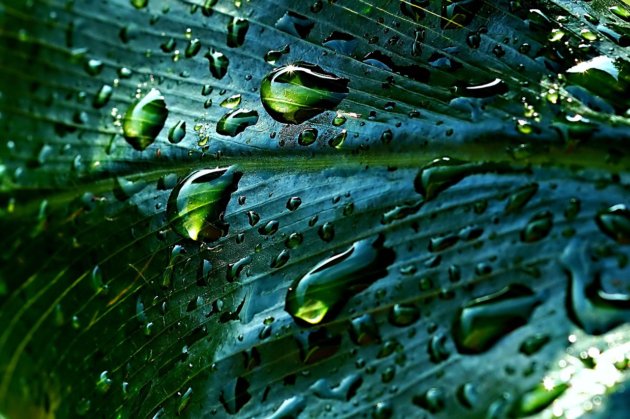 Danger insoupçonné : ce que j’ai découvert au fond de ma cuve d’eau de pluie