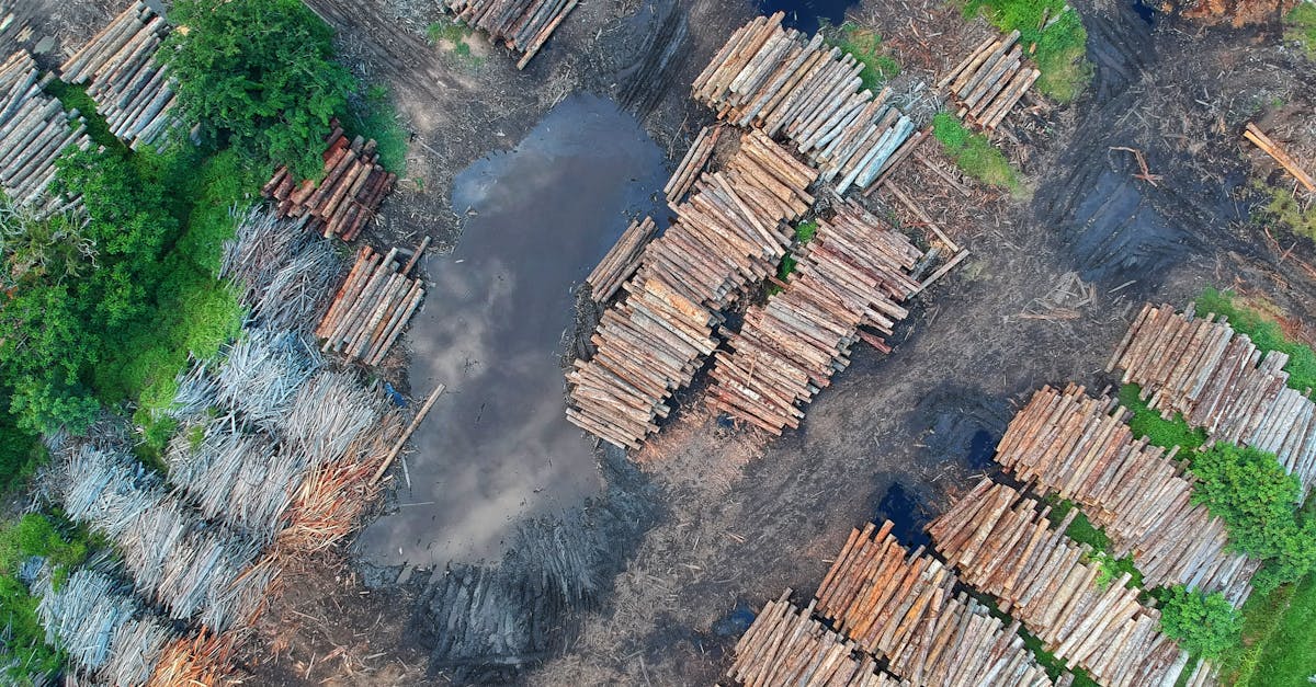 Ressources naturelles : Une analyse des enjeux et des solutions durables