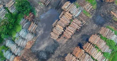 Ressources naturelles : Une analyse des enjeux et des solutions durables