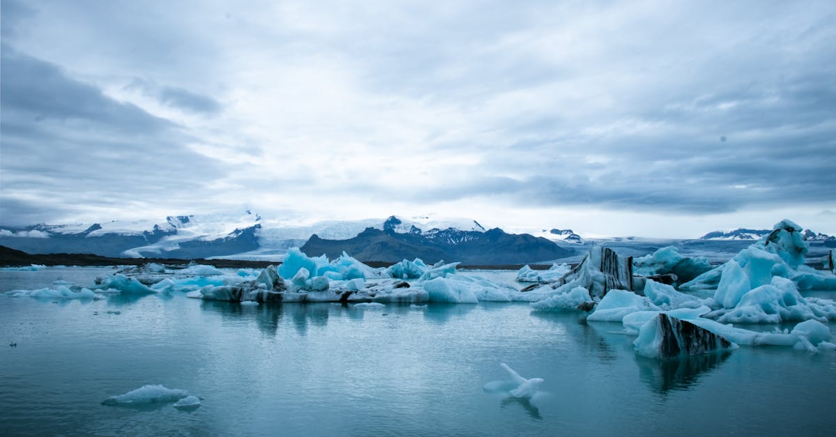 Environnement : Comprendre les enjeux du changement climatique pour un avenir durable