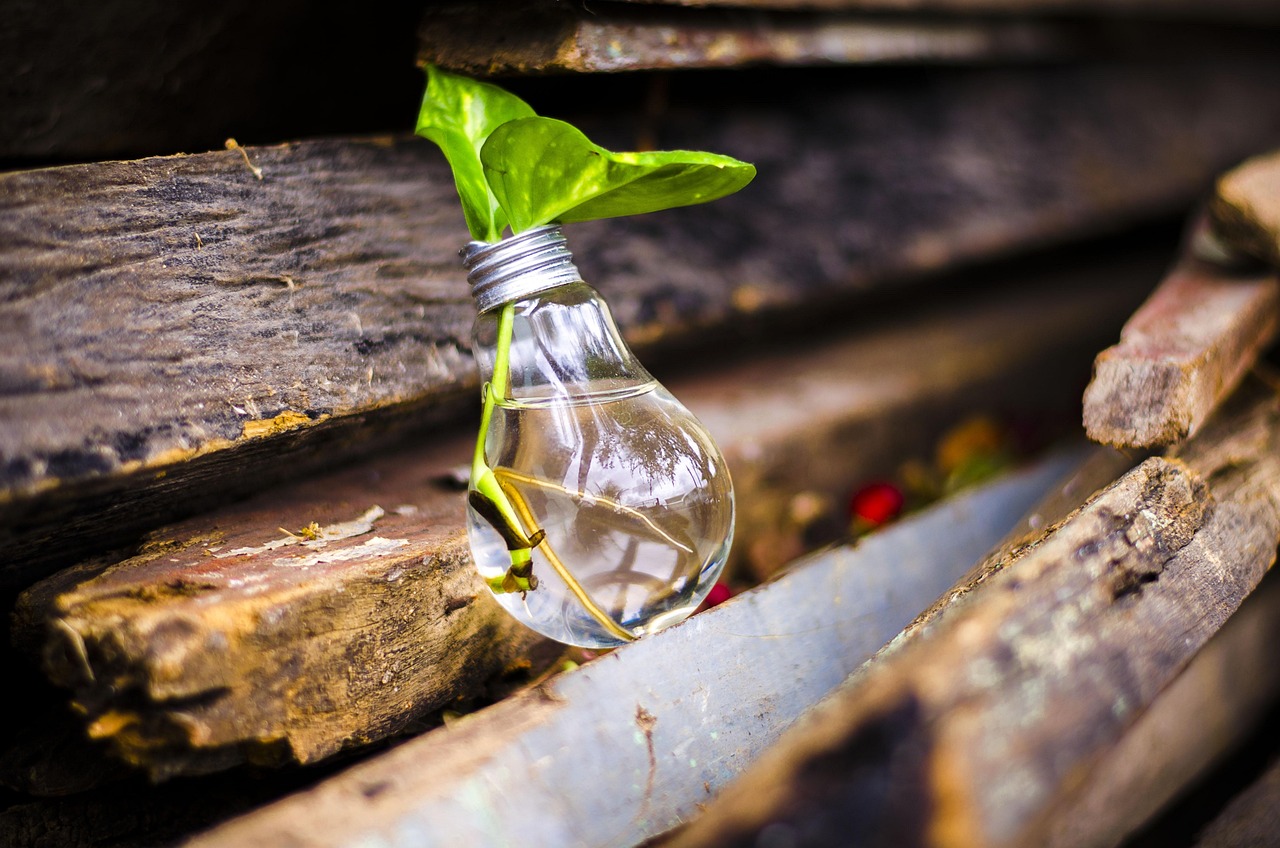 Upcycling en 2025 : idées créatives pour transformer vos objets du quotidien