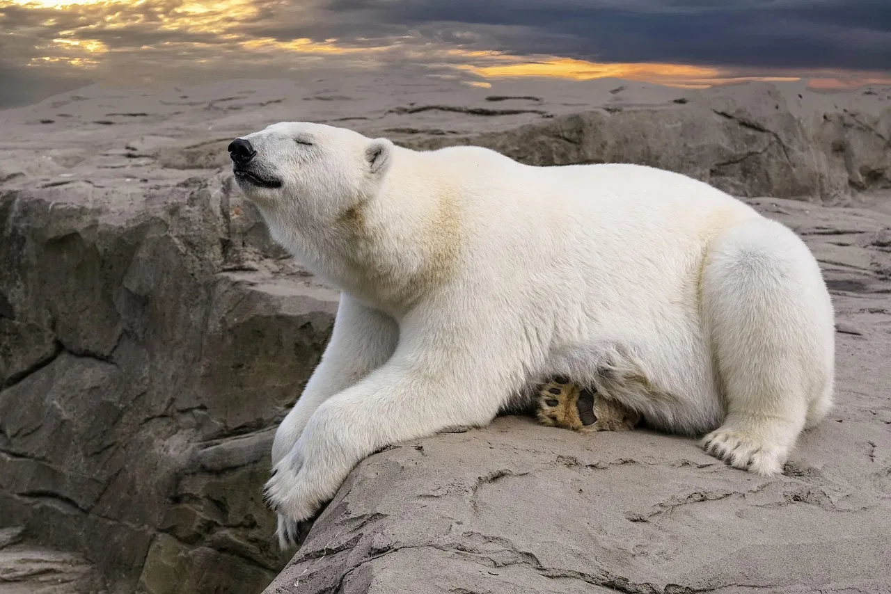 Agir pour le climat : 10 solutions accessibles à tous