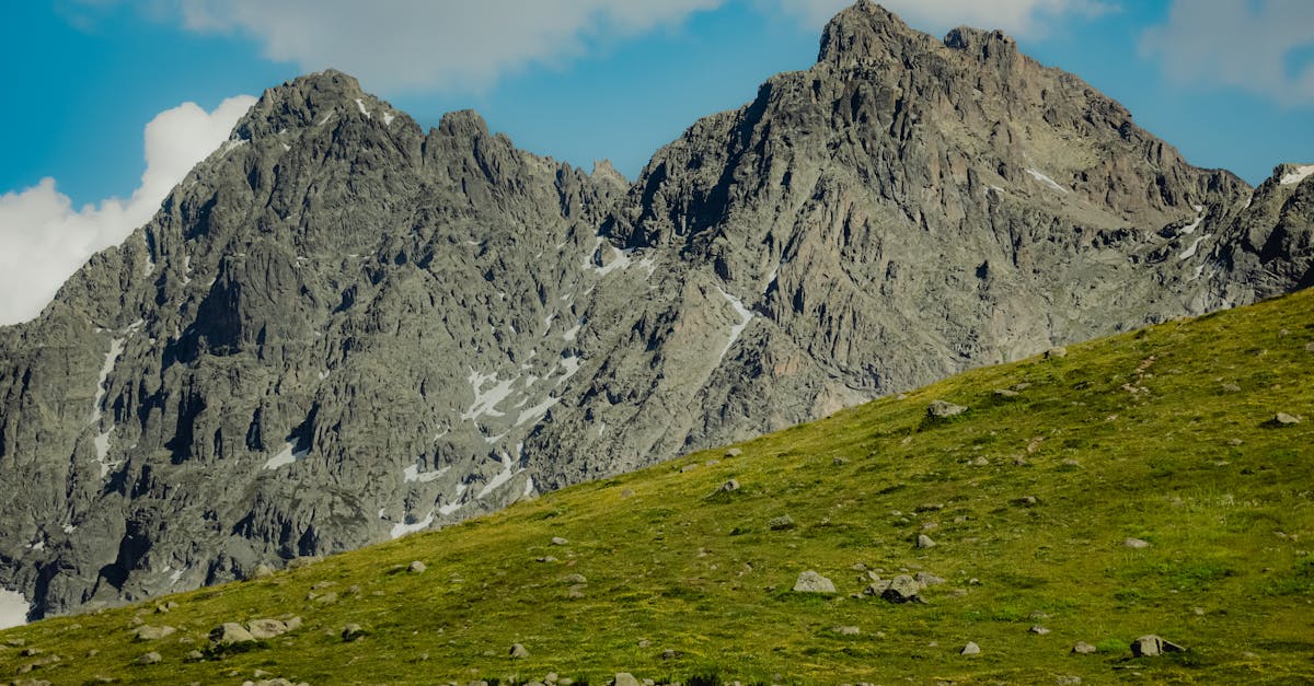 Cloud Verde : Découvrez les avantages d’une solution de cloud écologique