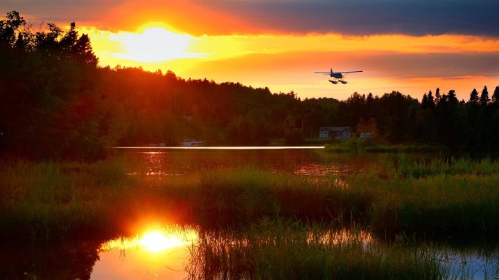 découvrez l'importance de la biodiversité pour notre planète, explorant la diversité des espèces, la richesse des écosystèmes, et les actions nécessaires pour préserver notre patrimoine naturel.