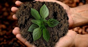 Climat : Les agences Generali s’engagent pour une durabilité accrue et une responsabilité exemplaire !