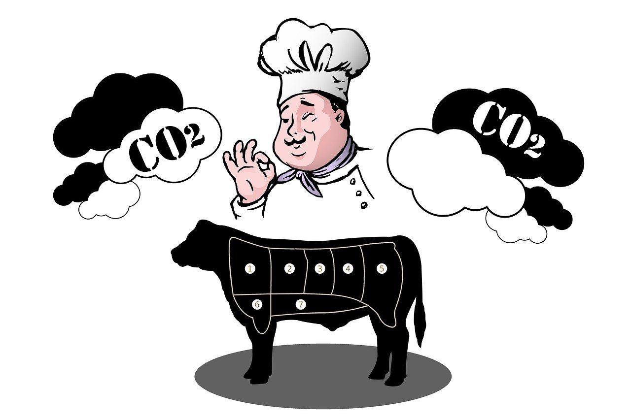 découvrez l'empreinte carbone, un indicateur clé de l'impact environnemental de nos activités. apprenez à réduire votre empreinte pour un avenir plus durable et respectueux de la planète.