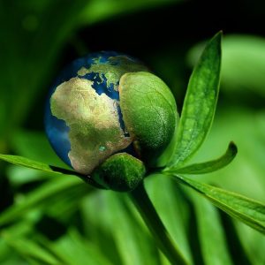 découvrez les enjeux de la durabilité et comment adopter des pratiques respectueuses de l'environnement pour un avenir meilleur. explorez des solutions innovantes et des conseils pratiques pour intégrer la durabilité dans votre quotidien.