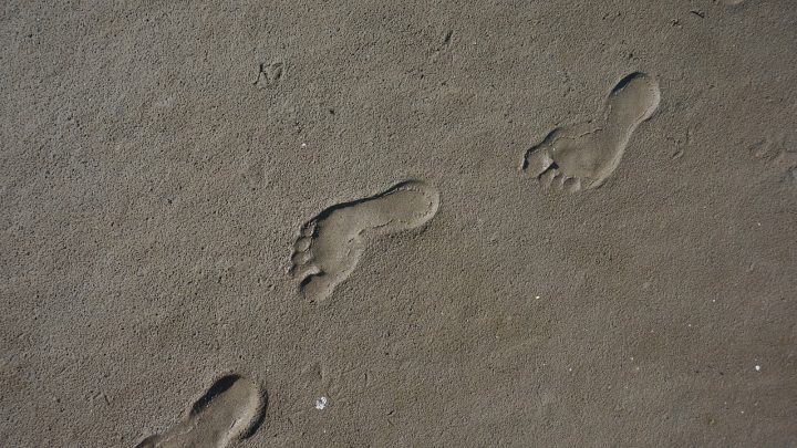 découvrez comment réduire votre empreinte carbone et contribuer à la lutte contre le changement climatique. des conseils pratiques et des informations sur l'impact environnemental de vos choix quotidiens.