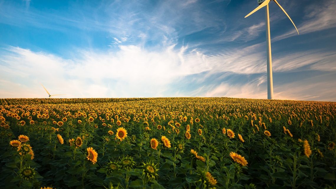 découvrez les avantages de l'énergie renouvelable, une solution durable pour un futur plus vert. explorez les différentes sources, telles que le solaire, l'éolien et l'hydraulique, et apprenez comment elles contribuent à la réduction des émissions de carbone tout en assurant une énergie accessible et fiable.