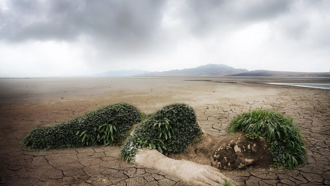 découvrez l'importance de la préservation de l'environnement et comment chaque geste compte pour protéger notre planète. apprenez des astuces pratiques pour réduire votre empreinte écologique et contribuer à un avenir durable.