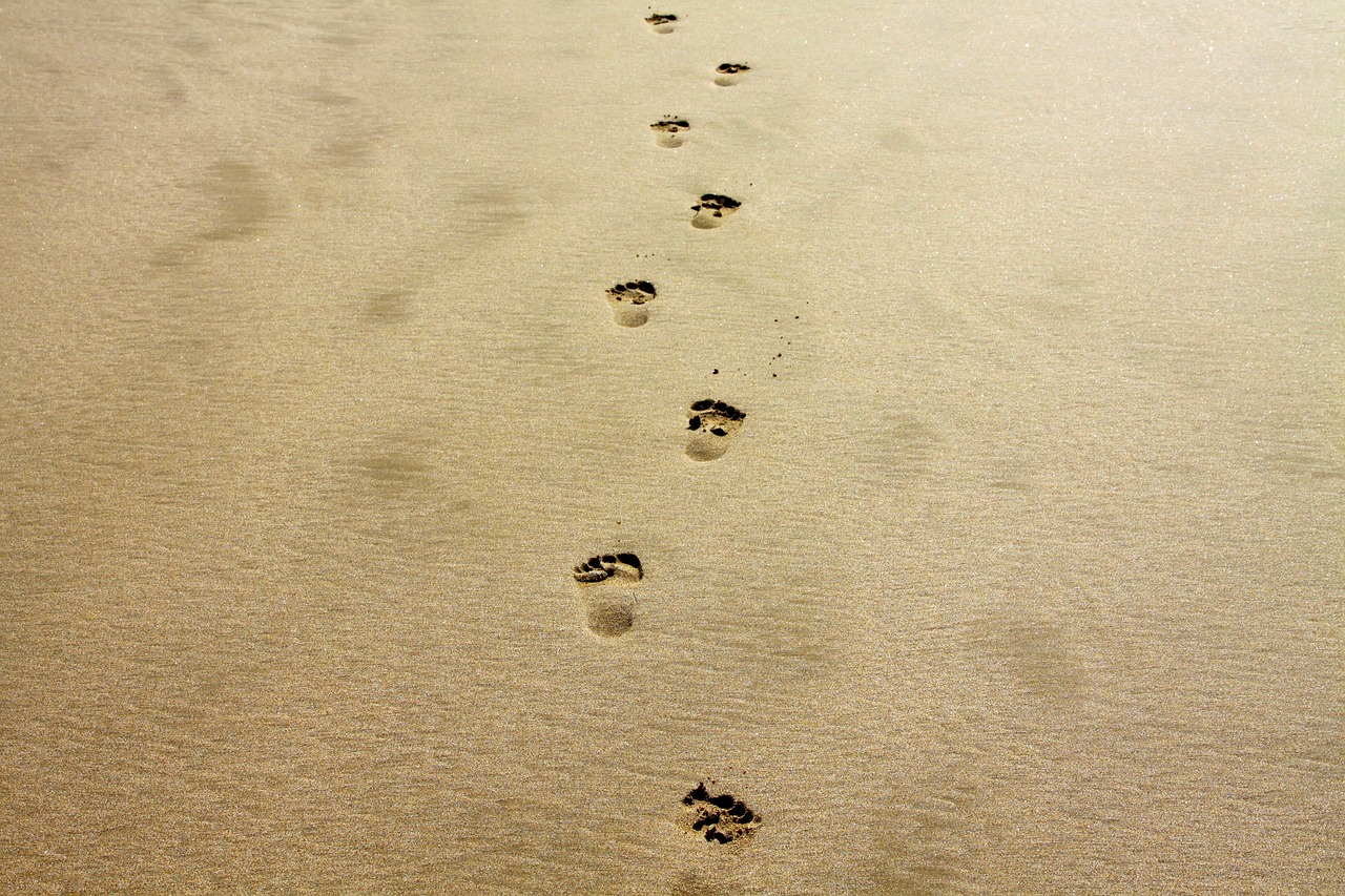 découvrez l'empreinte carbone, son impact sur l'environnement et comment réduire votre bilan carbone au quotidien. informez-vous sur les actions à entreprendre pour un mode de vie plus durable.