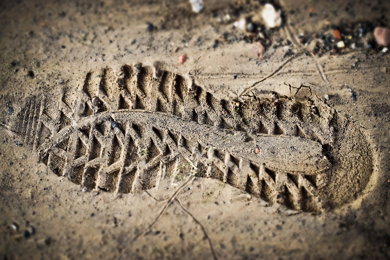 découvrez tout sur l'empreinte carbone : définition, enjeux environnementaux et moyens de réduire votre impact sur la planète. informez-vous sur l'importance de chaque action pour préserver notre écosystème.