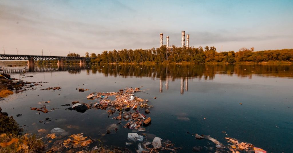Pollution : les causes et conséquences sur notre environnement