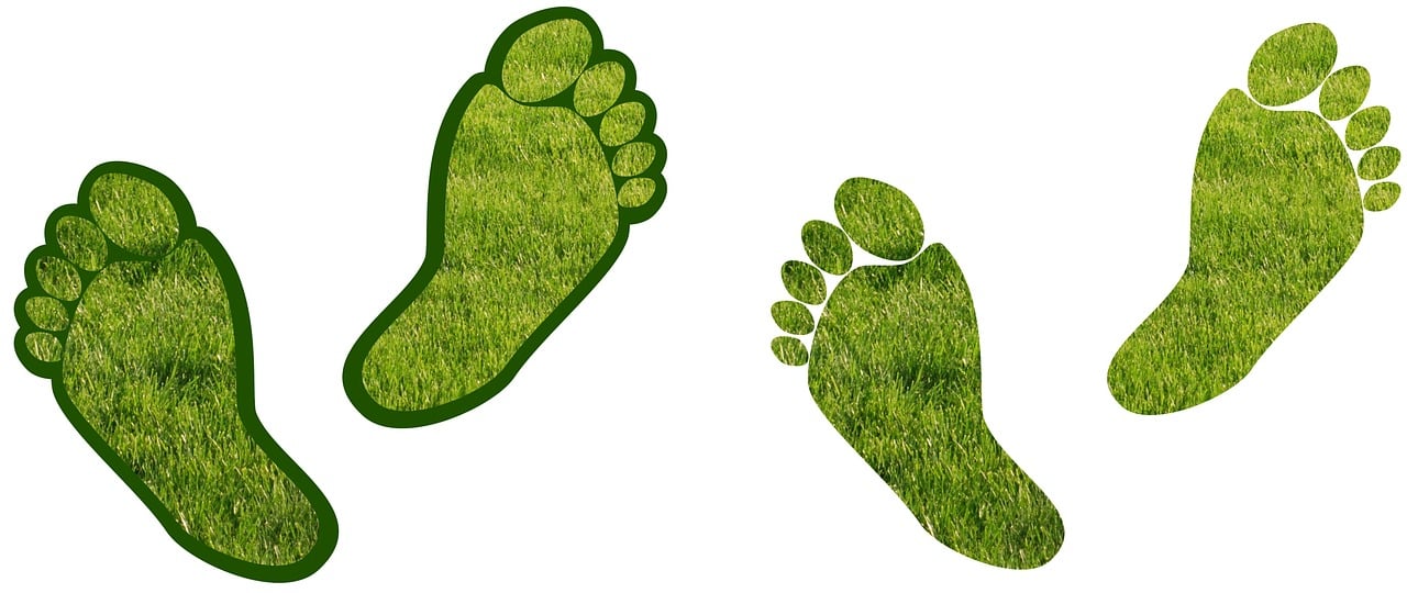 découvrez ce qu'est l'empreinte carbone, son impact sur l'environnement et comment la réduire pour un avenir plus durable. explorez des conseils pratiques et des solutions pour minimiser votre impact écologique.