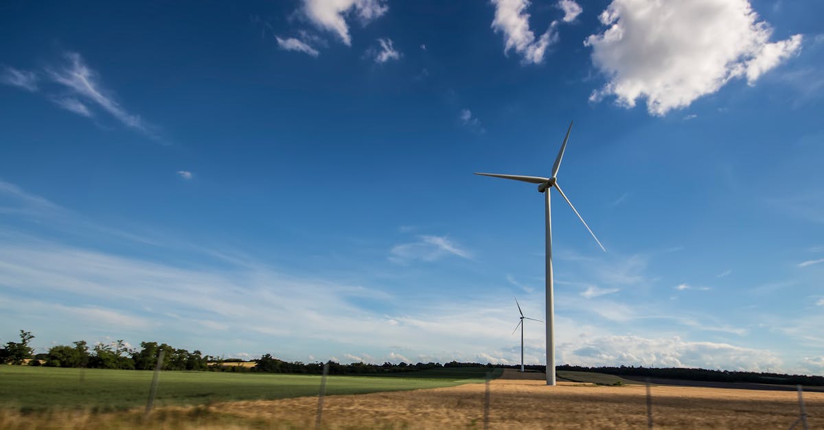 découvrez comment le développement durable façonne un avenir respectueux de l'environnement et socialement équitable. explorez des initiatives, des pratiques et des solutions innovantes qui garantissent un équilibre entre la croissance économique, la préservation de la planète et le bien-être des générations futures.