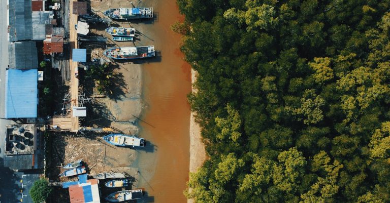 Bâtiments verts : Comment concevoir des structures durables pour un avenir écologique