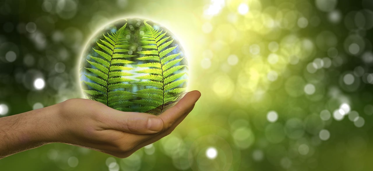 découvrez les enjeux environnementaux majeurs actuels, tels que le changement climatique, la pollution et la biodiversité, et apprenez comment chacun peut contribuer à un avenir plus durable.