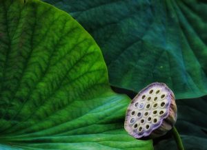 Soutiens aux entreprises dans leur parcours vers une transition écologique réussie