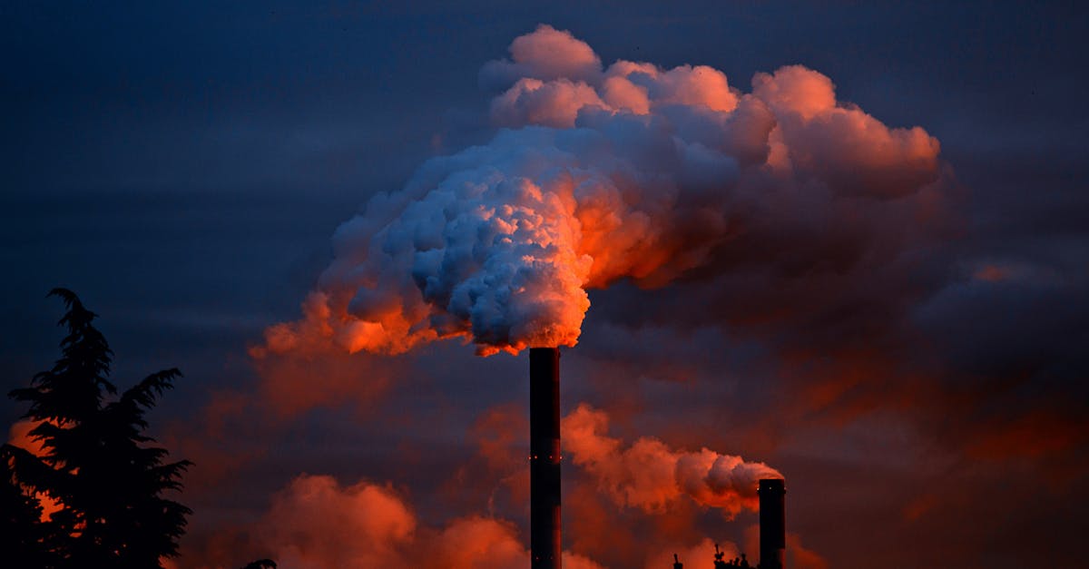 découvrez comment réduire votre empreinte carbone et contribuer à un avenir plus durable. apprenez des stratégies pratiques, des conseils éco-responsables et des solutions innovantes pour minimiser l'impact environnemental de vos activités quotidiennes.