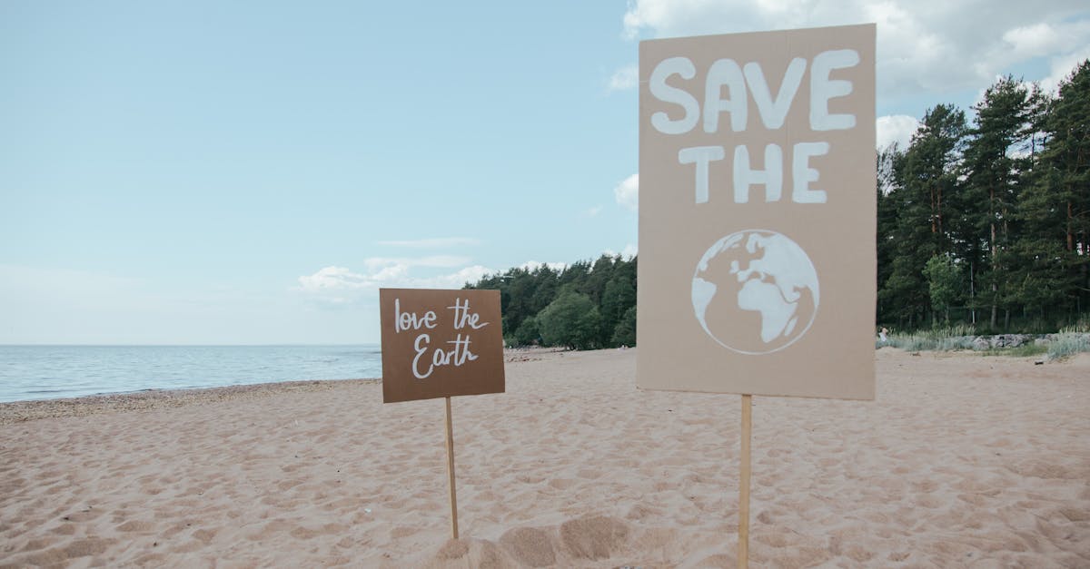 découvrez l'importance de l'éco-conscience et comment elle influence nos choix quotidiens. apprenez des pratiques durables, des conseils pour réduire votre empreinte écologique et comment contribuer à un avenir plus vert. rejoignez le mouvement pour un monde meilleur grâce à l'éco-awareness.