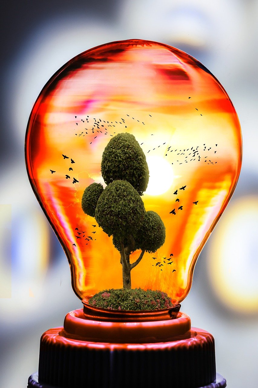 découvrez comment l'éco-innovation transforme notre avenir en alliant durabilité et technologie. explorez des solutions innovantes pour un monde meilleur, où la protection de l'environnement et la croissance économique vont de pair.