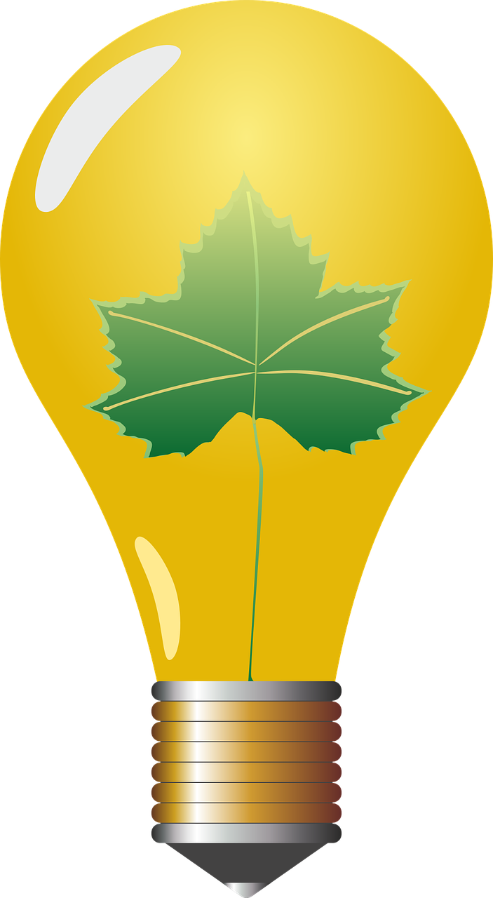 découvrez comment réussir votre eco-transition pour un mode de vie plus durable et respectueux de l'environnement. stratégies, conseils pratiques et solutions innovantes pour réduire votre empreinte écologique.
