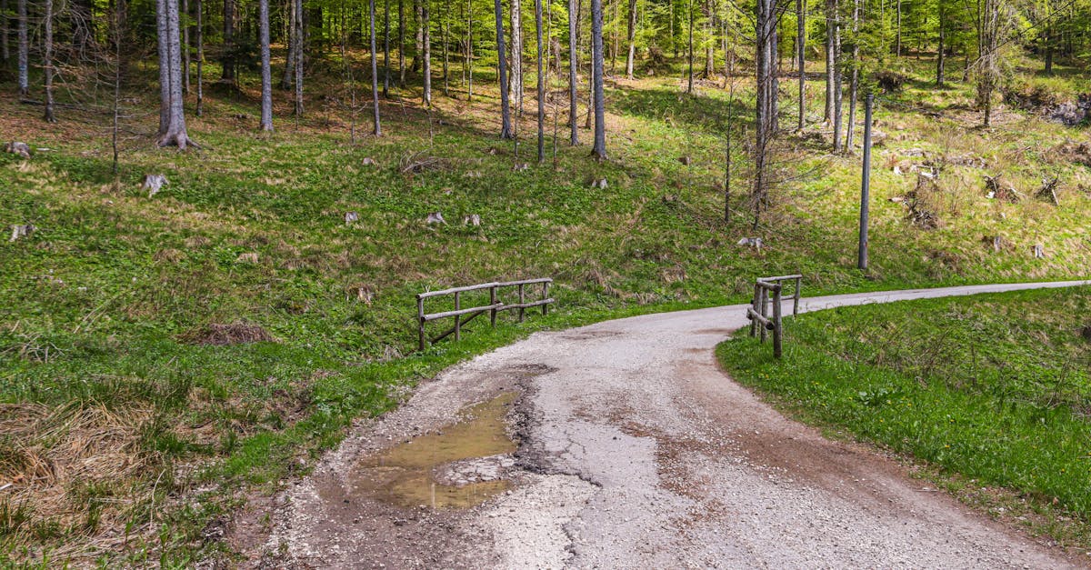 découvrez l'écotourisme, une manière responsable d'explorer notre planète tout en préservant la nature. partez à l'aventure tout en soutenant les communautés locales et en minimisant votre empreinte écologique.