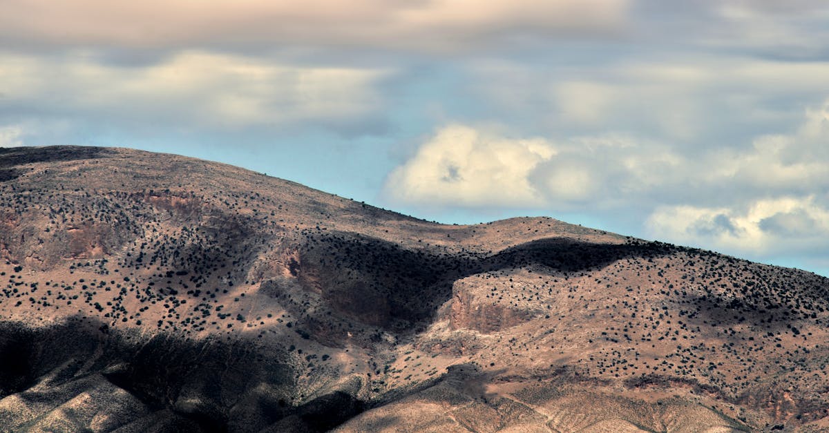 découvrez l'écotourisme : une manière responsable de voyager qui préserve la nature et soutient les communautés locales. explorez des destinations authentiques tout en minimisant votre impact environnemental.