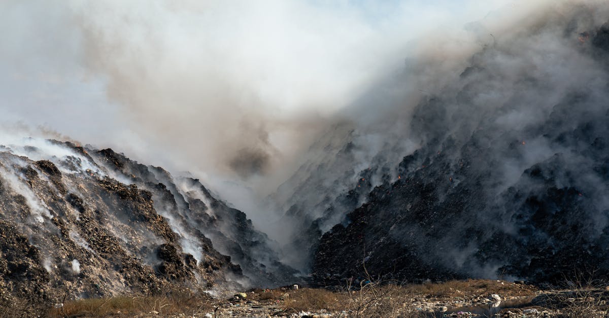 découvrez l'impact dévastateur des catastrophes environnementales à travers le monde. analyse des causes, des conséquences et des mesures de prévention pour protéger notre planète.