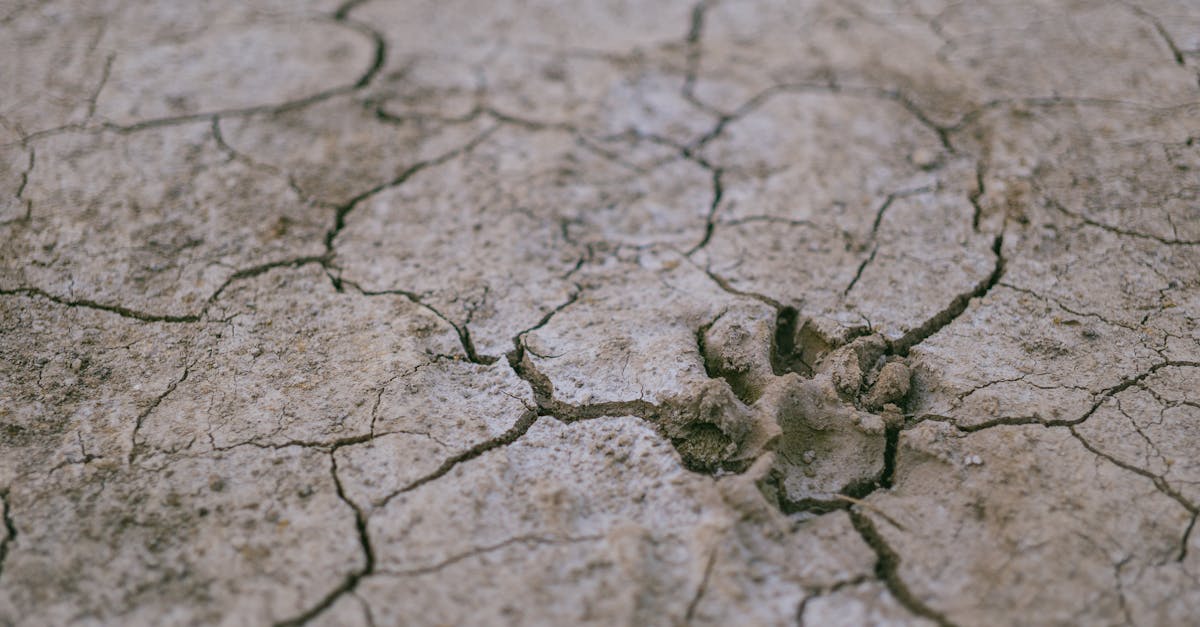 découvrez les tragiques conséquences des catastrophes environnementales et leur impact sur notre planète. analyse des événements récents, prévention et actions à entreprendre pour protéger notre environnement.
