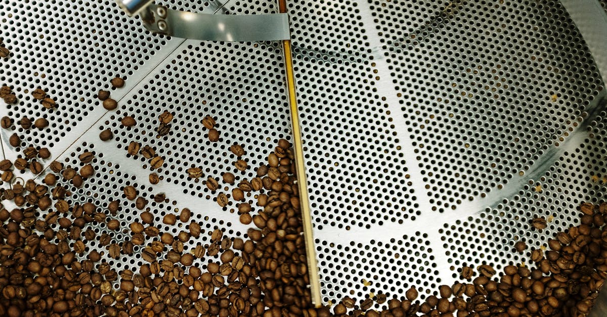 découvrez le concept de consommation éthique : un choix responsable et durable qui respectent l'environnement et les conditions de travail. apprenez comment vos décisions d'achat peuvent contribuer à un avenir meilleur.