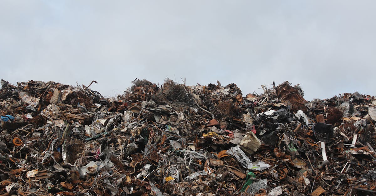 découvrez l'impact de la pollution plastique sur notre environnement et notre santé. apprenez comment réduire votre empreinte en adoptant des pratiques durables et en participant à des initiatives de nettoyage pour préserver notre planète.