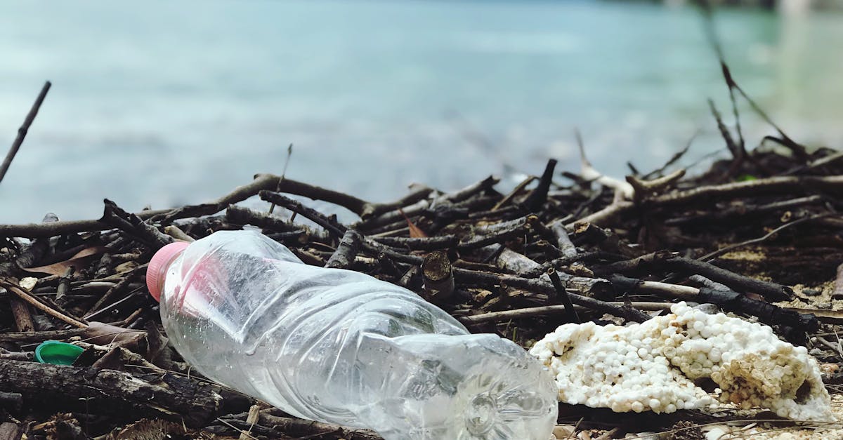 découvrez l'impact dévastateur de la pollution plastique sur notre planète. apprenez comment ce fléau affecte les océans, la faune et la santé humaine, et explorez des solutions pour réduire notre empreinte écologique.