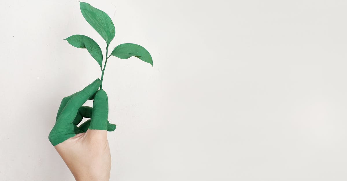 découvrez l'importance de la durabilité et comment elle façonne notre avenir. explorez des pratiques éco-responsables, des innovations vertes et des solutions durables pour un monde meilleur.
