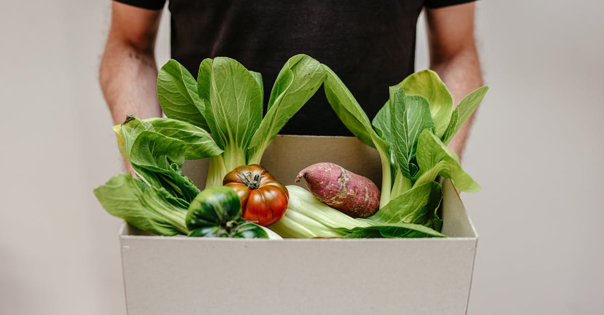 découvrez l'approvisionnement durable : une approche responsable qui favorise l'utilisation de ressources renouvelables, soutient les producteurs locaux et préserve l'environnement pour un avenir plus vert.