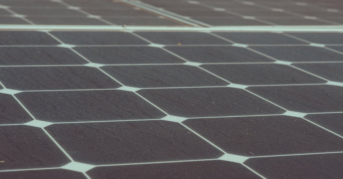 découvrez les stratégies d'approvisionnement durable pour minimiser l'impact environnemental tout en maximisant la qualité des produits. adoptez des pratiques éthiques et responsables pour un avenir plus vert.