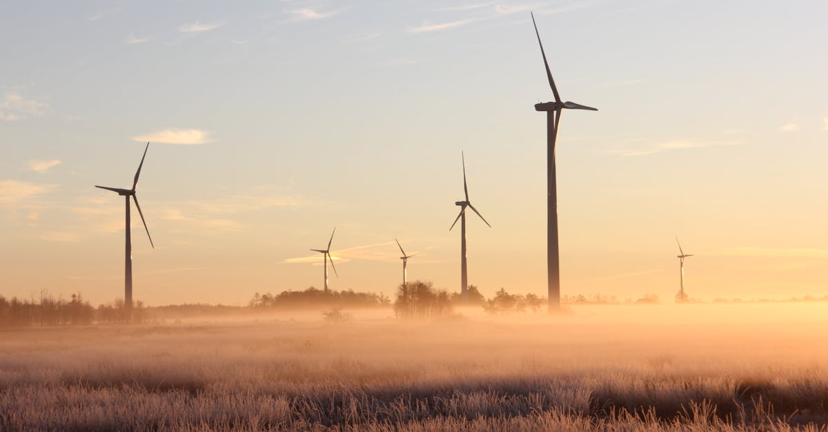 découvrez des solutions durables pour un avenir meilleur. explorez comment adopter un mode de vie respectueux de l'environnement et participez à la préservation de notre planète à travers des pratiques durables et responsables.