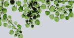 Acteurs de l’écologie : Comment ils transforment notre avenir durable