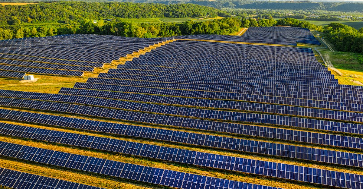 découvrez des alternatives écologiques pour un mode de vie plus durable. explorez nos conseils et produits respectueux de l'environnement, qui vous aideront à réduire votre empreinte carbone tout en préservant la planète.