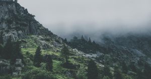 Bilan écologique : comprendre son impact sur notre environnement