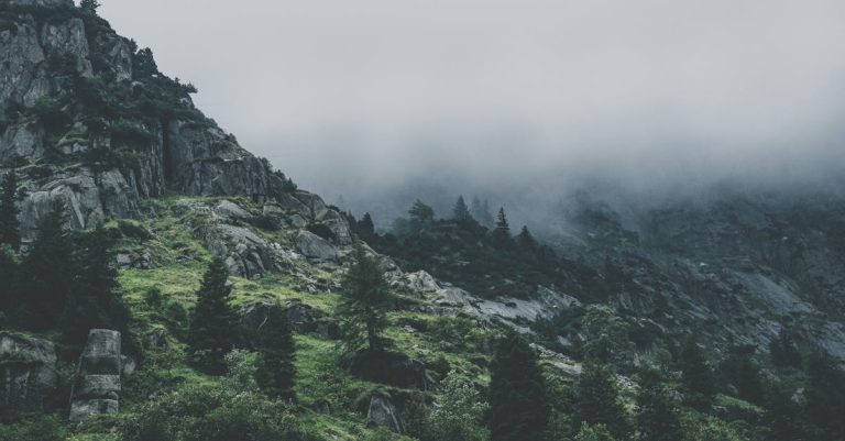 Bilan écologique : comprendre son impact sur notre environnement